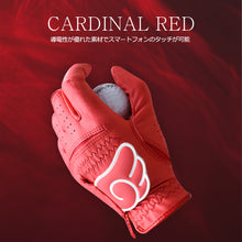 画像をギャラリービューアに読み込む, Incontro WINGSゴルフグローブ