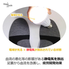 画像をギャラリービューアに読み込む, Magic insole
